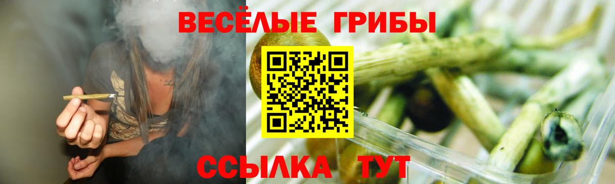 Сыктывкар  Псилоцибиновые грибы ЛСД  Вход с VPN 